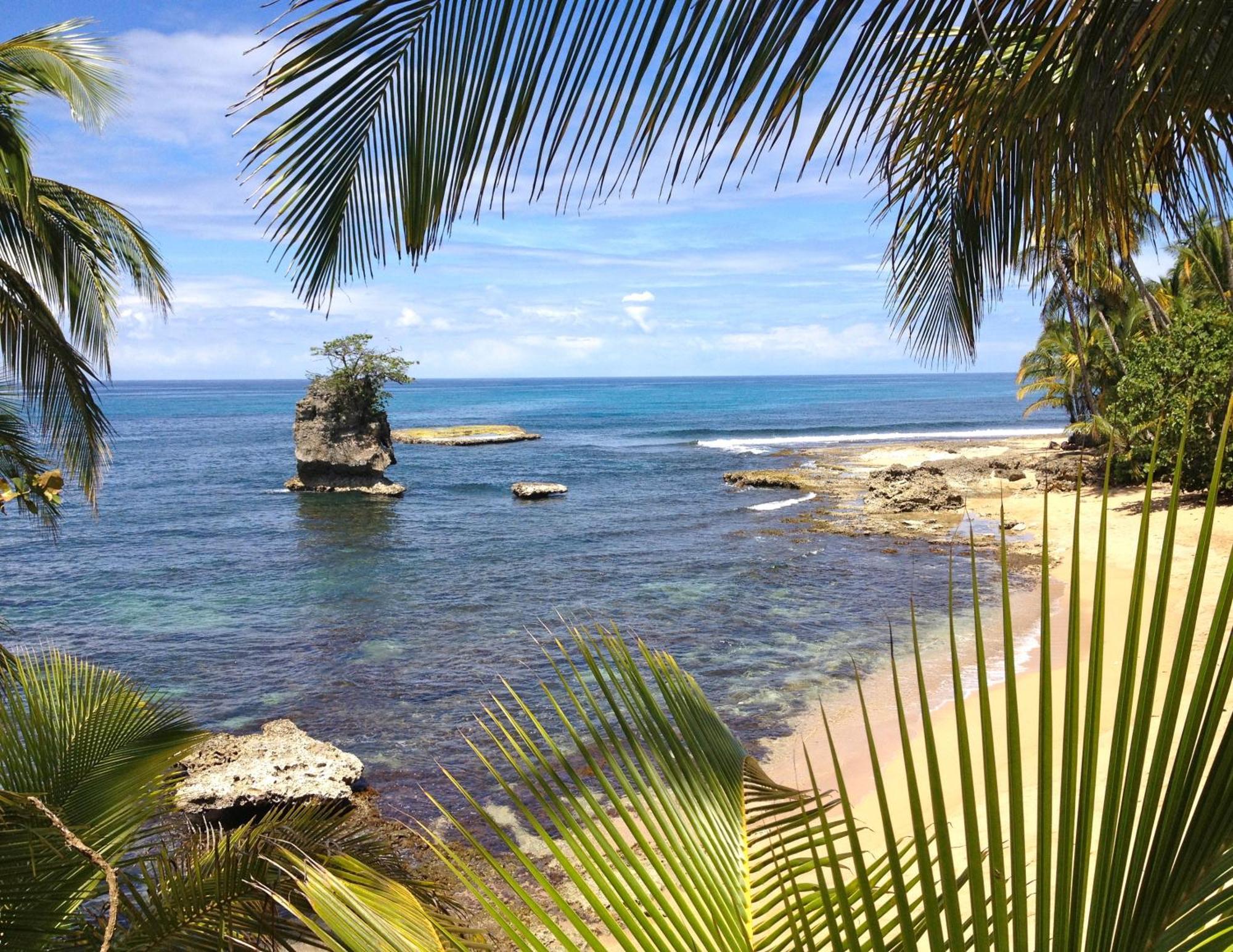 Physis Caribbean Bed & Breakfast Puerto Viejo de Talamanca Bagian luar foto