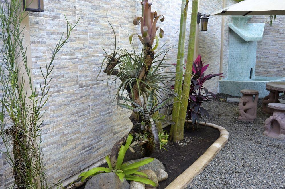 Physis Caribbean Bed & Breakfast Puerto Viejo de Talamanca Bagian luar foto