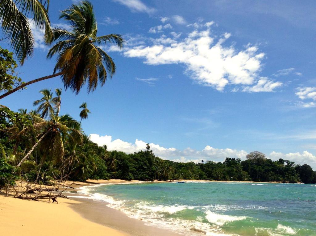 Physis Caribbean Bed & Breakfast Puerto Viejo de Talamanca Bagian luar foto
