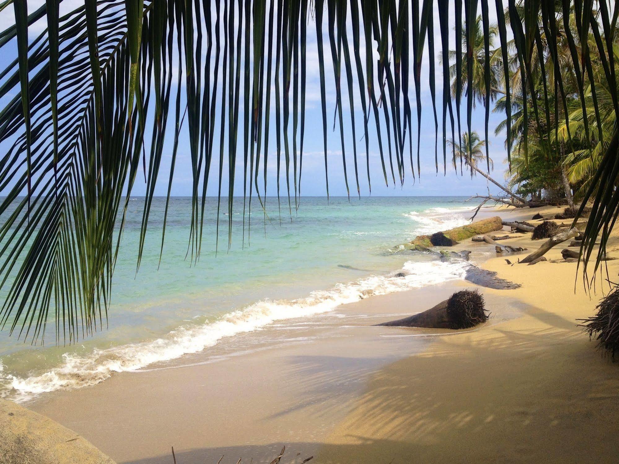 Physis Caribbean Bed & Breakfast Puerto Viejo de Talamanca Bagian luar foto