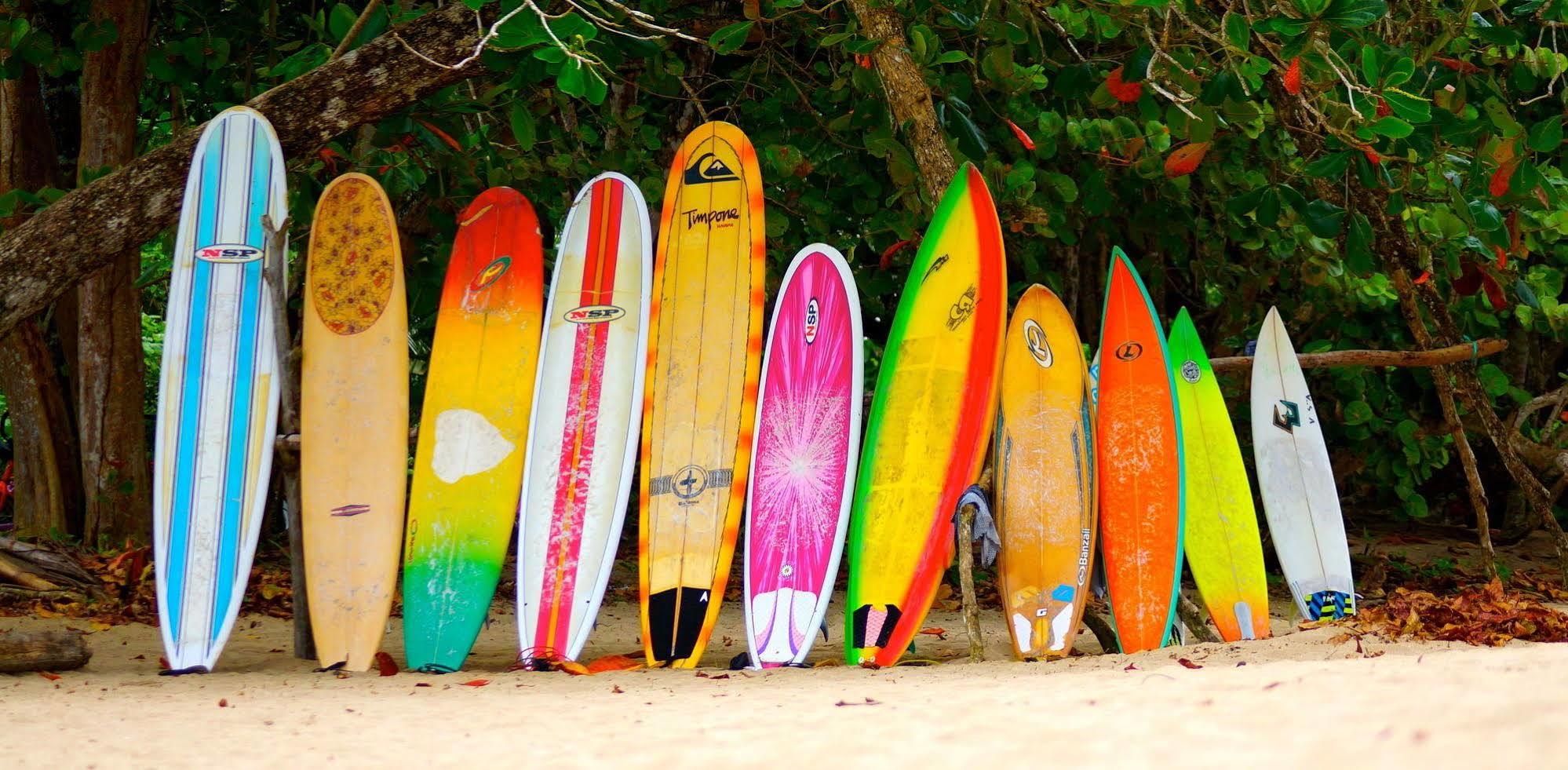 Physis Caribbean Bed & Breakfast Puerto Viejo de Talamanca Bagian luar foto